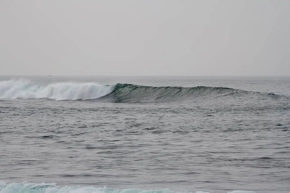 A beautiful wave breaking to the left at Praia da Azarujinha in São João do Estoril
